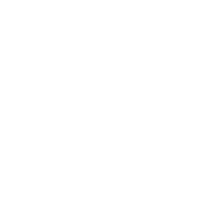 Réseau Mycélium