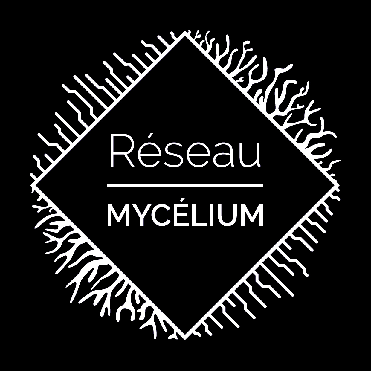 Réseau Myclélium